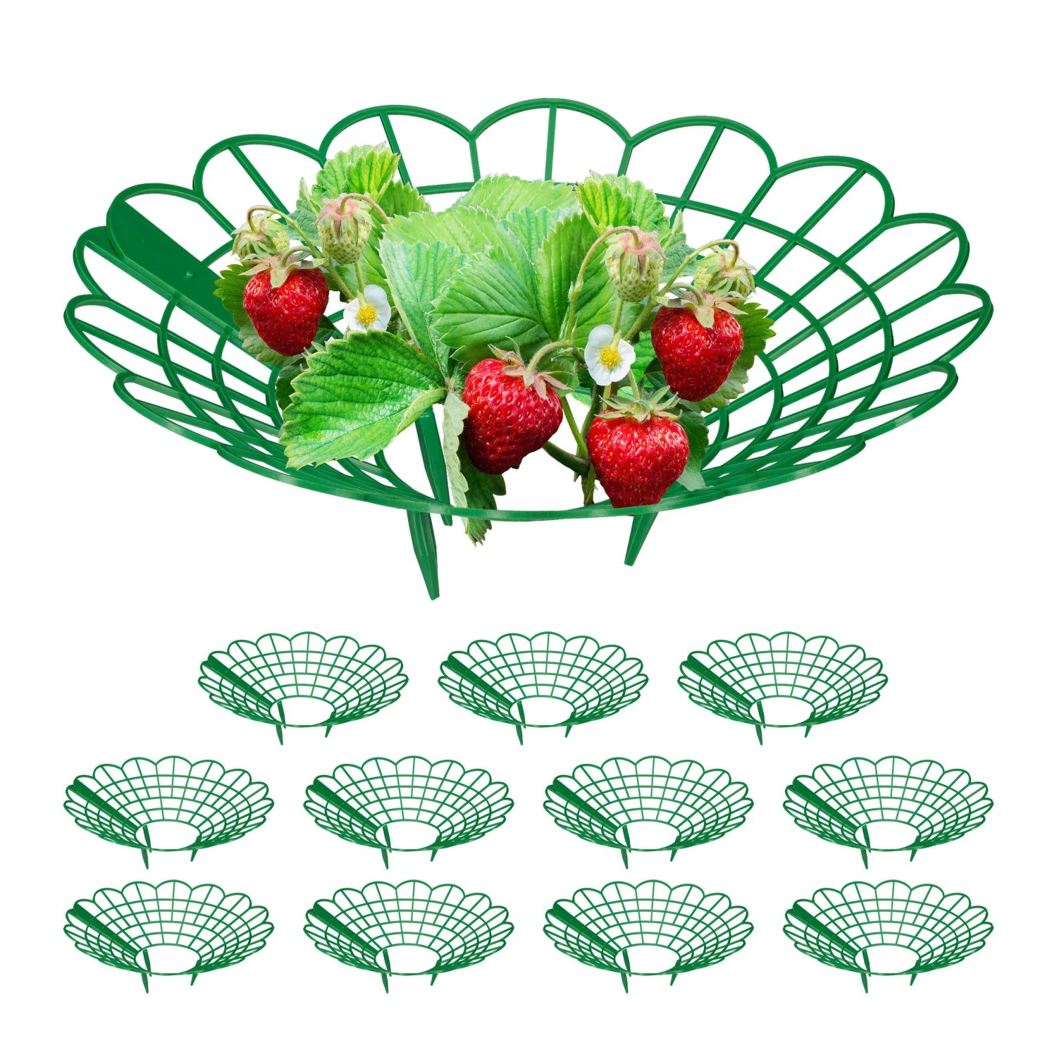 Relaxdays Erdbeerreifer Kunststoff Grün 12er Set 10 cm x 30 cm