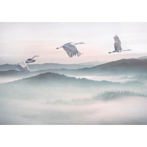 Komar Vlies Fototapete Mystic Cranes mit Kranichen über nebliger Hügellandschaft, 400x280 cm.
