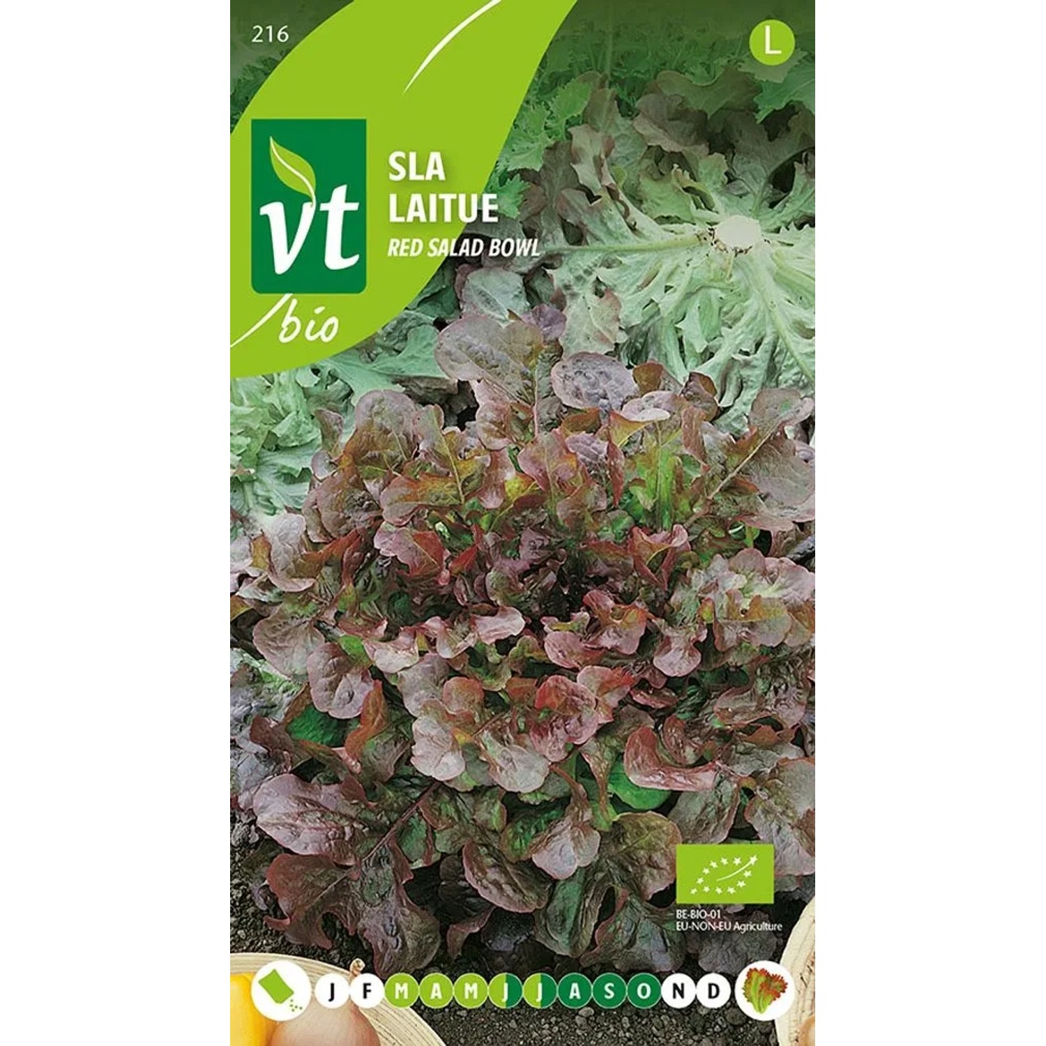 Sprossen Mungobohne Saatgut ca. 16 g Vitaminreich