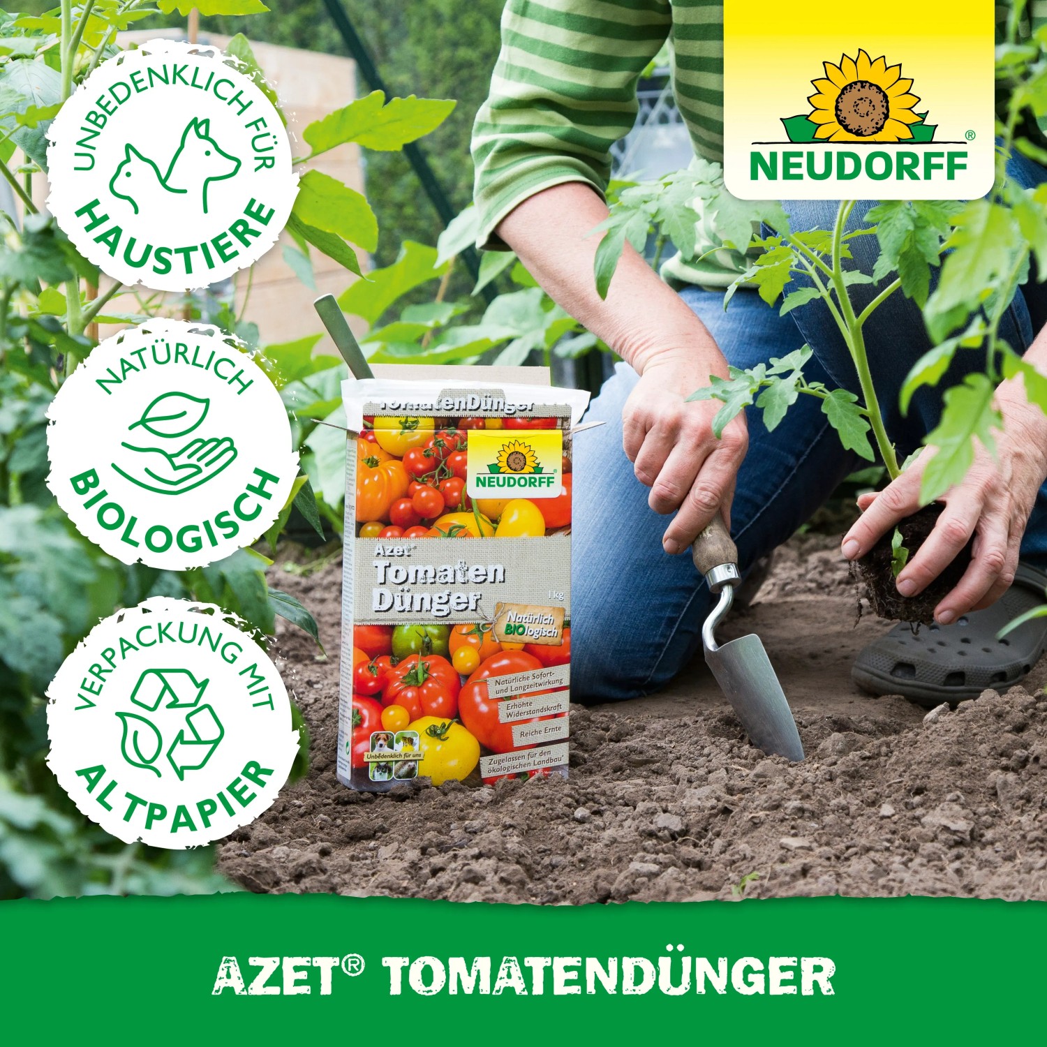 Neudorff Azet Tomaten-Dünger 750g: Frau pflanzt Tomate mit Dünger und Schaufel im Garten.
