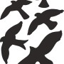 Aufkleber-Set mit Vogelkonturen, 5 Stück, 35x25 cm, für Innen- und Außenbereich.