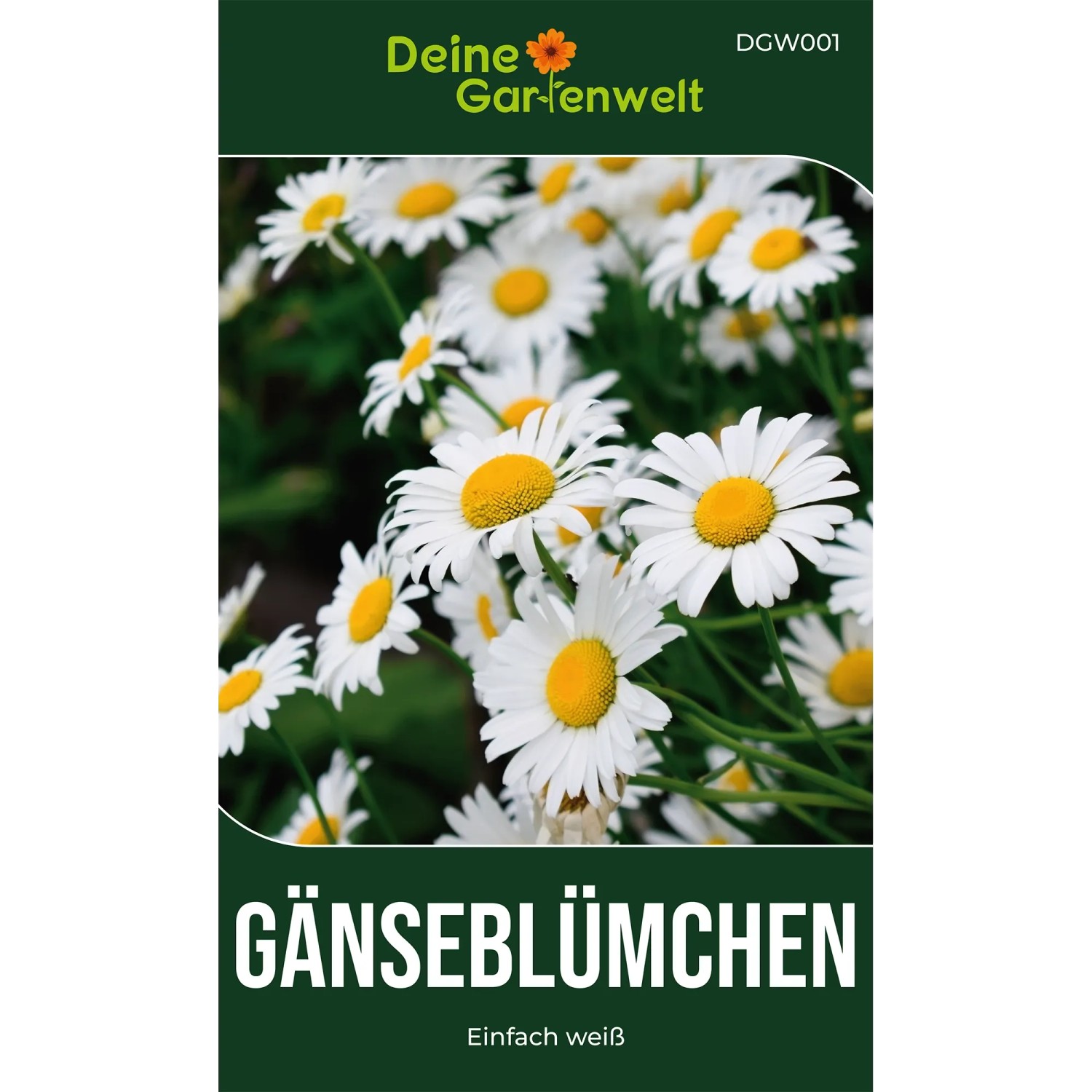 Deine Gartenwelt Gänseblümchen Einfach Weiß Samen