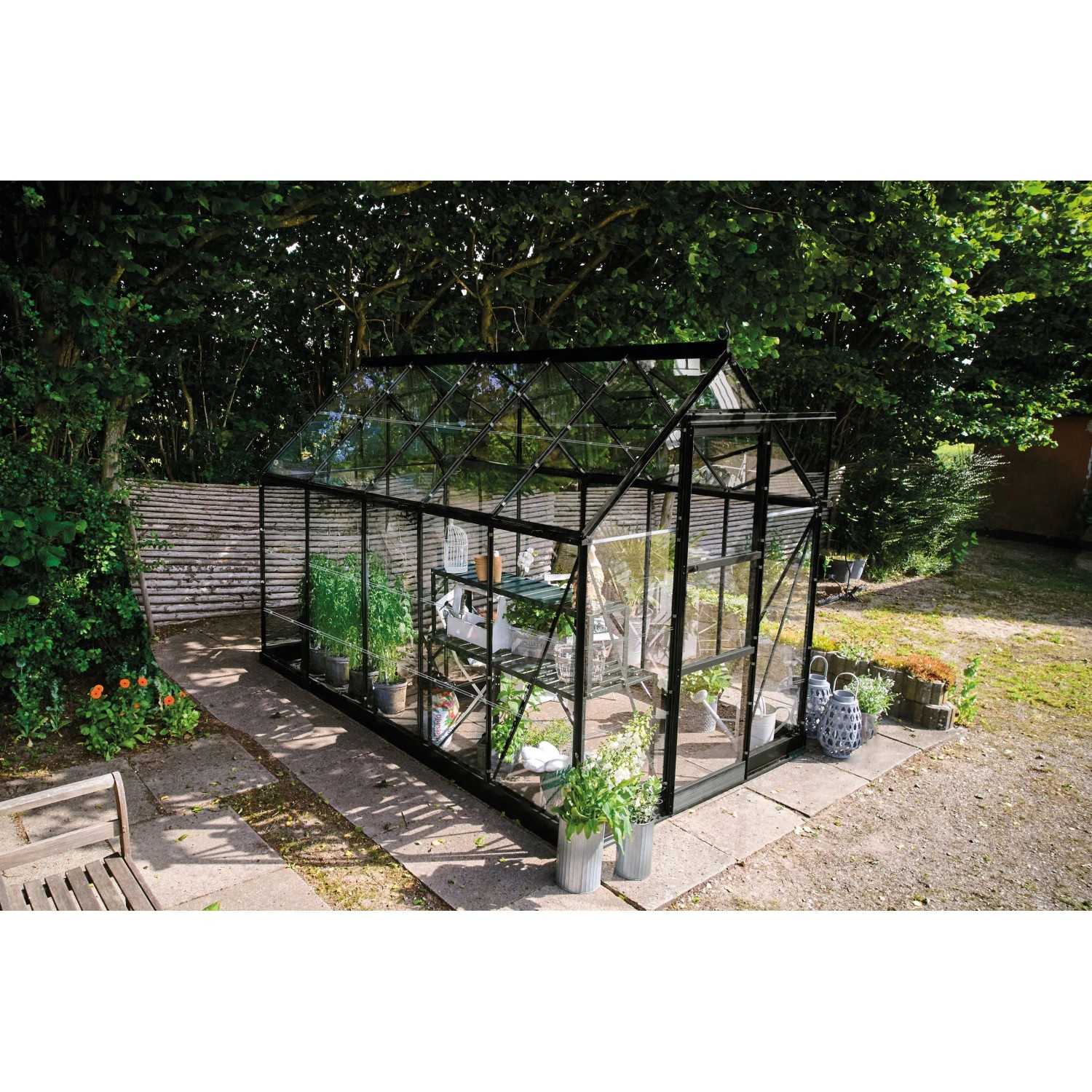 Halls Gewächshaus Icon 6 Schwarz 6,1 m² günstig online kaufen
