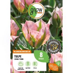 GROW by OBI Tulpe China Town, rosa-weiß-grüne Blüte, 8 Stück Blumenzwiebeln für Frühling.