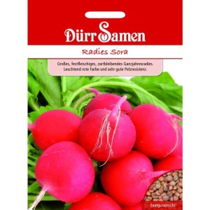 Dürr Samen Radies Sora Saatgutpackung: leuchtend rote Radieschen, grüne Blätter, Samenansicht.
