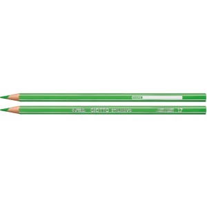 Giotto Stilnovo Farbstifte, Ø 3,3 mm, grüne Stifte mit Namensfeld, 2 Stück.