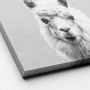 Leinwandbild: Schwarz-weiß Porträt eines Lamas, 27x27 cm, moderne Wanddeko.