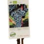 GROW by OBI Weintraube Regent im Topf, Vitis vinifera, noch ohne Blätter.