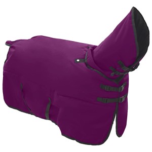 vidaXL Pferdedecke Dunkelgrün und Schwarz 135 cm Polyester 42013163