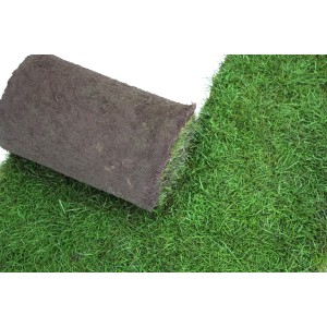 Foto von Premium Rollrasen (30-39 m²). Rolle und verlegte Fläche mit saftigem Grün.