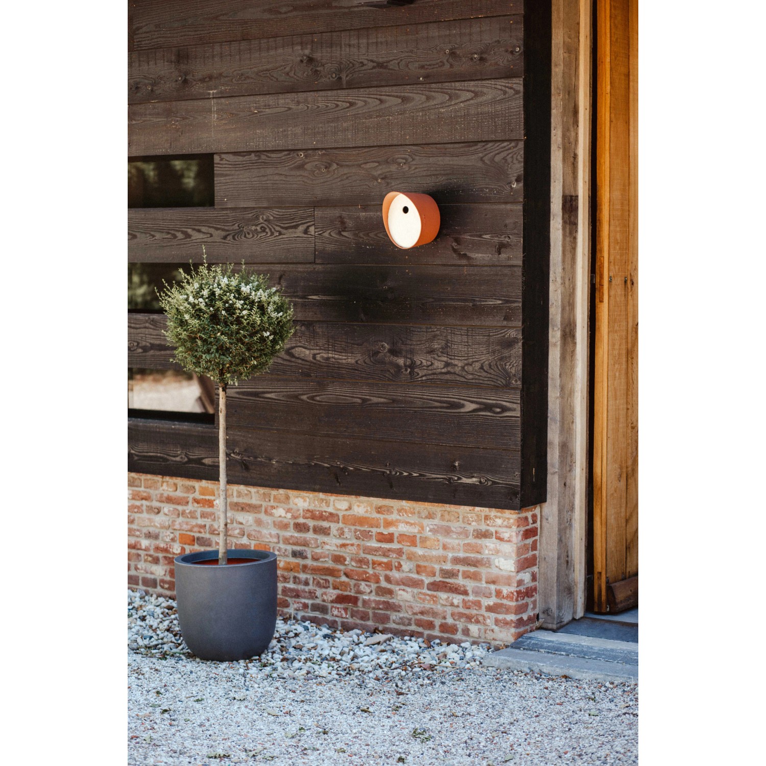 Braunes Capi Vogelhäuschen (24x19x23cm) an dunkler Holzwand. Nistkasten für kleine Vogelarten.