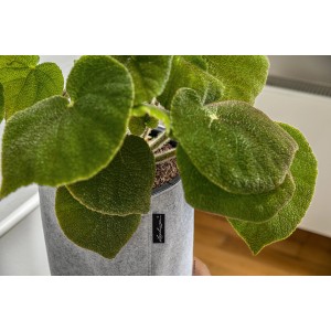 Lechuza Trendcover 23 Felt Light natural mit grüner Pflanze, Ø 23 cm.