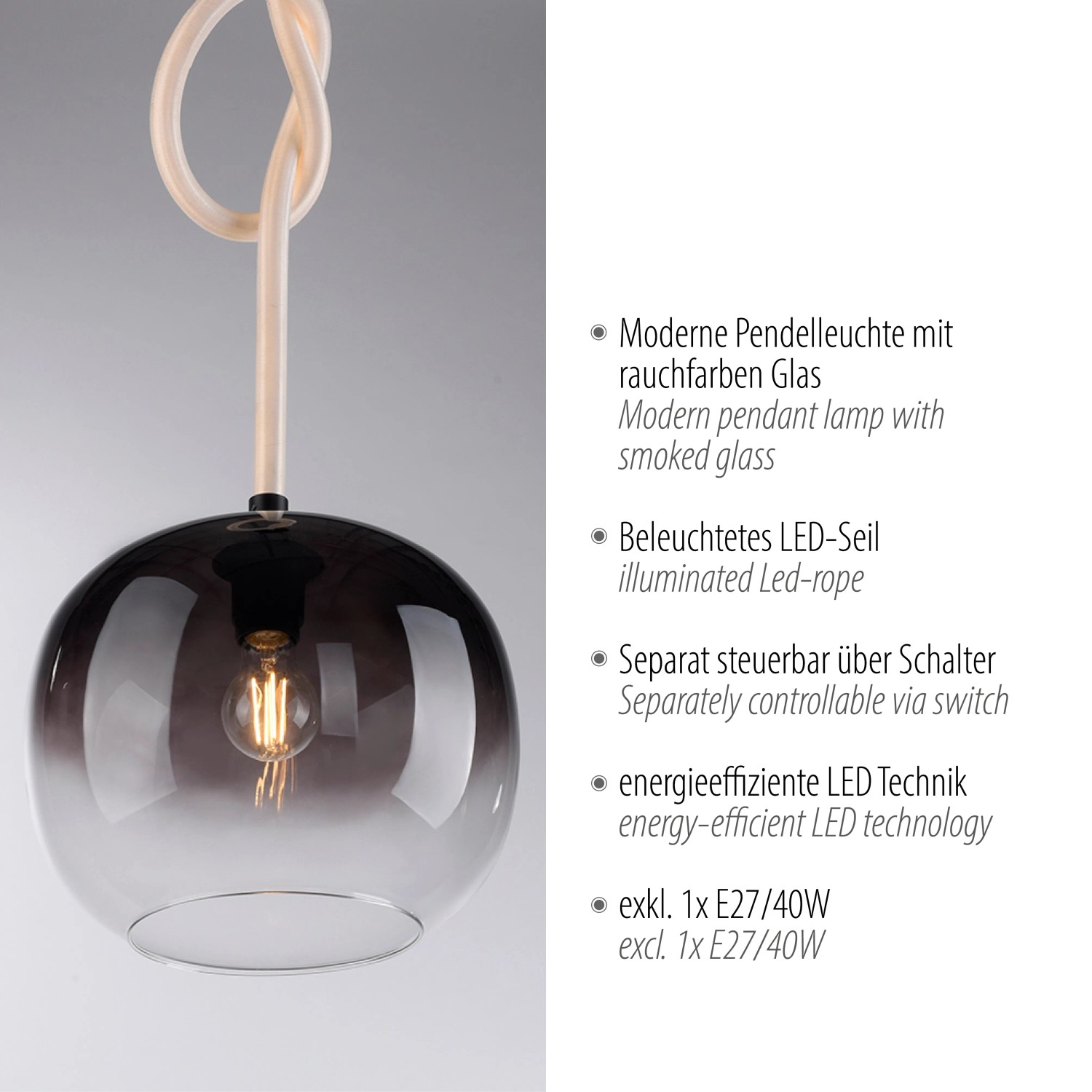 Schwarze Paul Neuhaus LED-Pendelleuchte Luma mit rauchfarbenem Glas und beleuchtetem Seil.