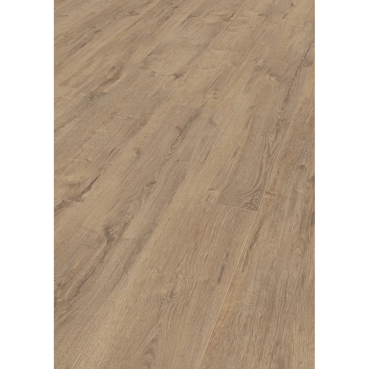 Jangal Laminatboden Oak National Park Line Plus Gobi günstig online kaufen