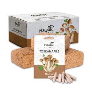 Hawlik Pilzbrut Toskanapilz Pilzbeet-Set für Einfache Pilzzucht Im Garten mit Substrat und Myzel inkl. Anbau-Anleitung