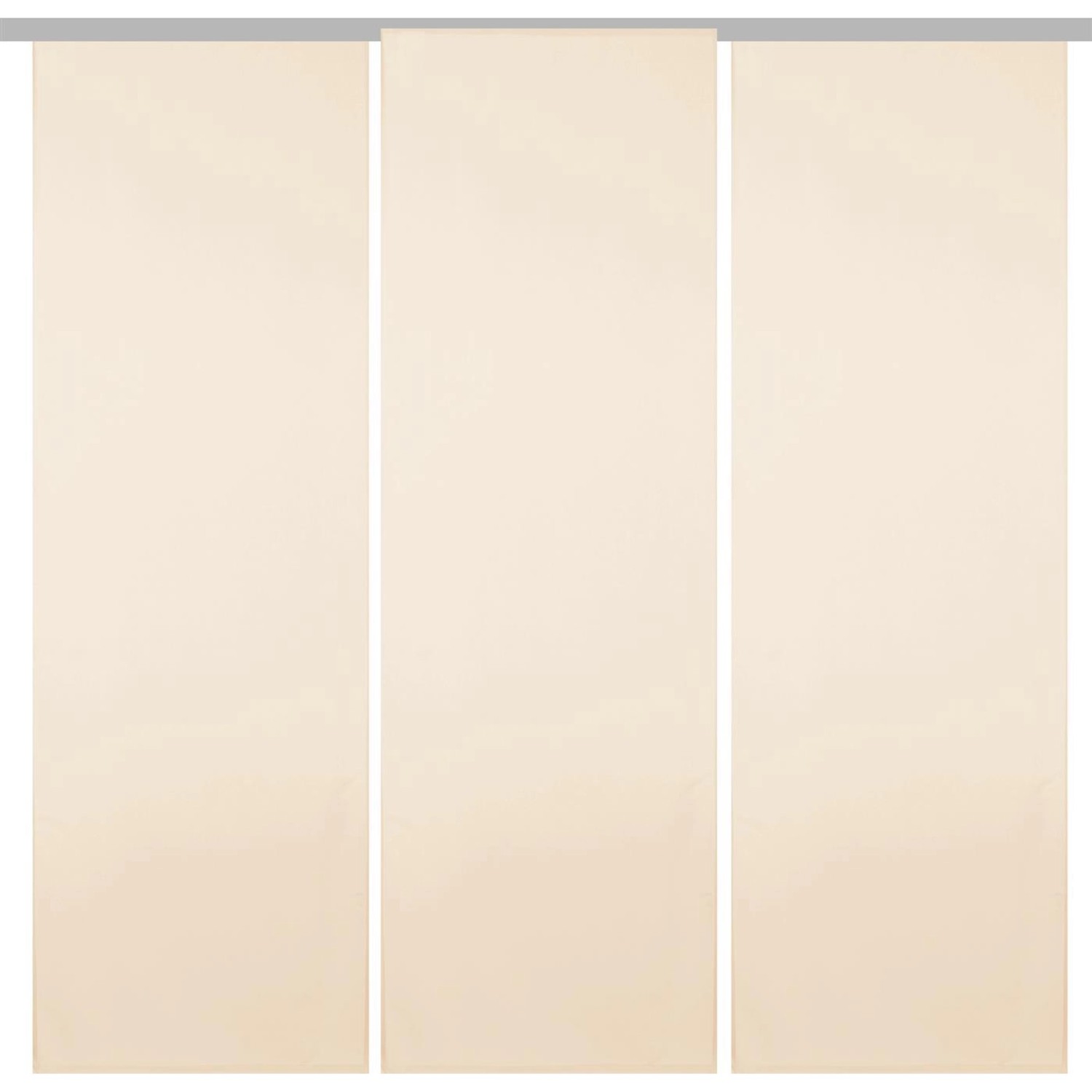 Bestgoodies Flächenvorhang Ellen 3er Pack Beige günstig online kaufen