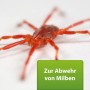 Nahaufnahme einer roten Milbe. Ardap Repell Milbenspray zur Ungezieferbekämpfung.