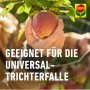 Apfel in Hand vor Baum mit Compo BIO Apfelwickler Lockstoff Hinweis.
