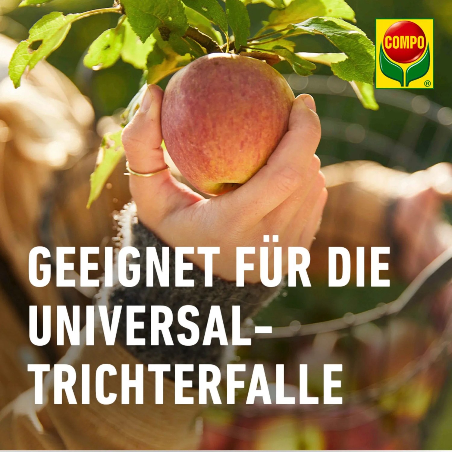 Apfel in Hand vor Baum mit Compo BIO Apfelwickler Lockstoff Hinweis.