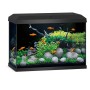 Schwarzes Juwel Aquarium-Set Primo 70 LED 2.0 mit Fischen und Pflanzen.