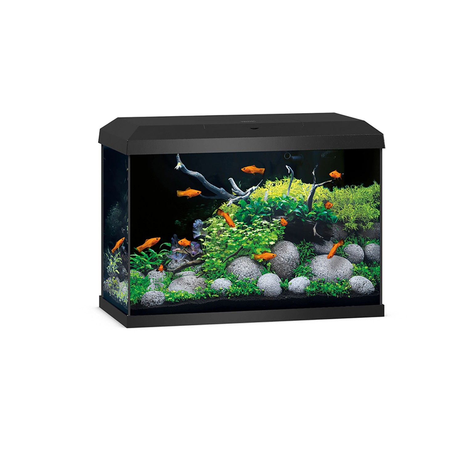 Juwel Aquarium-Set Primo 70 LED 2.0 Schwarz