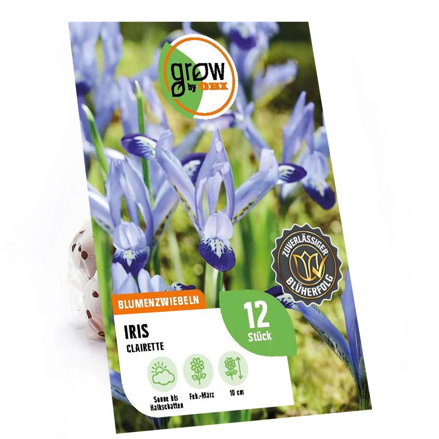 GROW by OBI Blumenzwiebeln Iris Clairette Blau 12 Stück