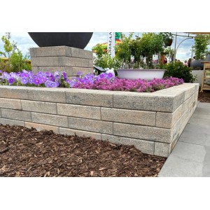 Diephaus Palisade Limos Piccolo Muschelkalk als Mauerstein für Hochbeet, mit lila Blumen. Ideal für Einfassungen.
