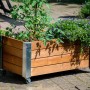 Braunes Dobar Hochbeet Rollfi aus Holz mit Rollen und Pflanzen, 78x52x40,5 cm.