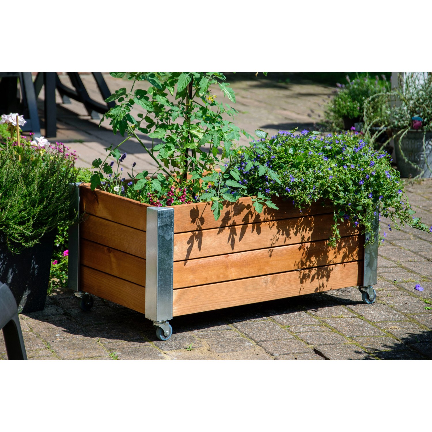 Braunes Dobar Hochbeet Rollfi aus Holz mit Rollen und Pflanzen, 78x52x40,5 cm.