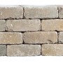 Diephaus Mauerstein Collo Muschelkalk, 30x10x10 cm, gestapelt. Ideal für Mauern und Palisaden.