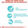 Royal Canin Urinary Care Katzenfutter Nass: Grafiken zu Harnwegsgesundheit, Idealgewicht und Akzeptanz.