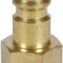 Einhell Gewindestecknippel R 1/4 Innengewinde aus Metall für Kompressoren.