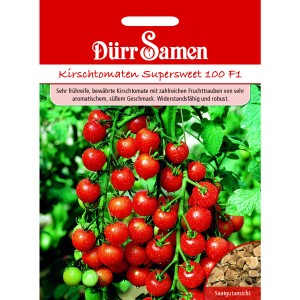Dürr Samen Kirschtomaten Supersweet 100 F1: Reife, rote Kirschtomaten an der Pflanze.