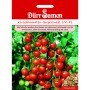 Dürr Samen Kirschtomaten Supersweet 100 F1: Reife, rote Kirschtomaten an der Pflanze.