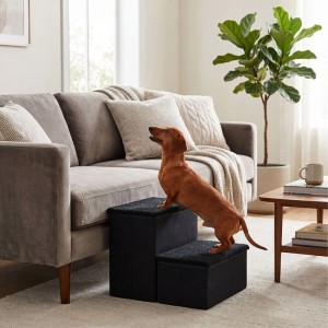 Schwarze faltbare Hundetreppe mit 2 Stufen und Stauraum. Dackel steigt auf Sofa. Ideal für kleine Hunde.