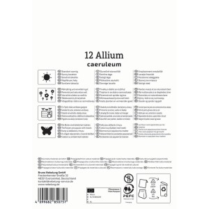 Kiepenkerl Zierlauch Blumenzwiebeln, Allium caeruleum, 12 Stück Packung.