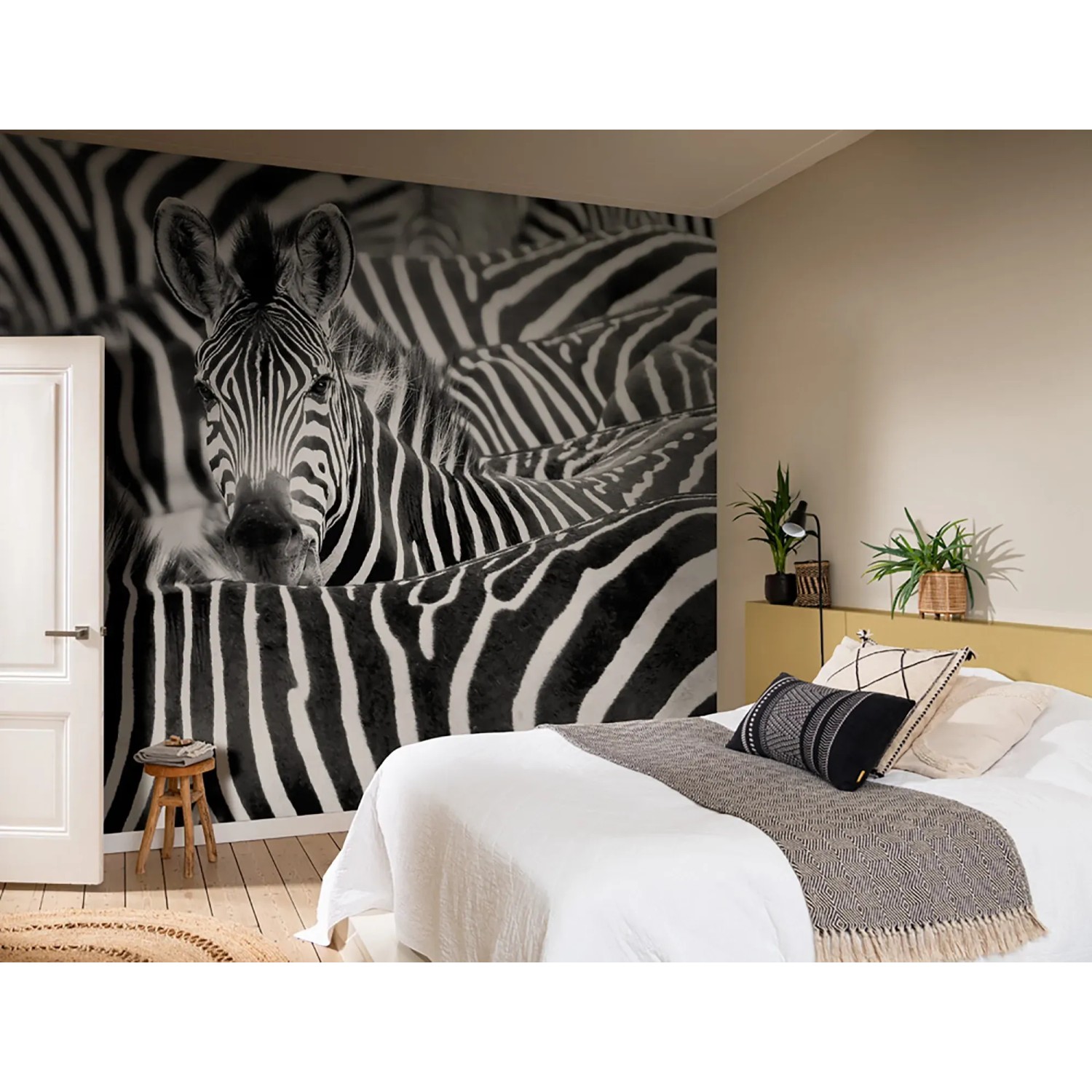 Fototapete Rasch Digitaldruck African Queen III Zebra, Schwarz-Weiß, 3,00x3,71m.