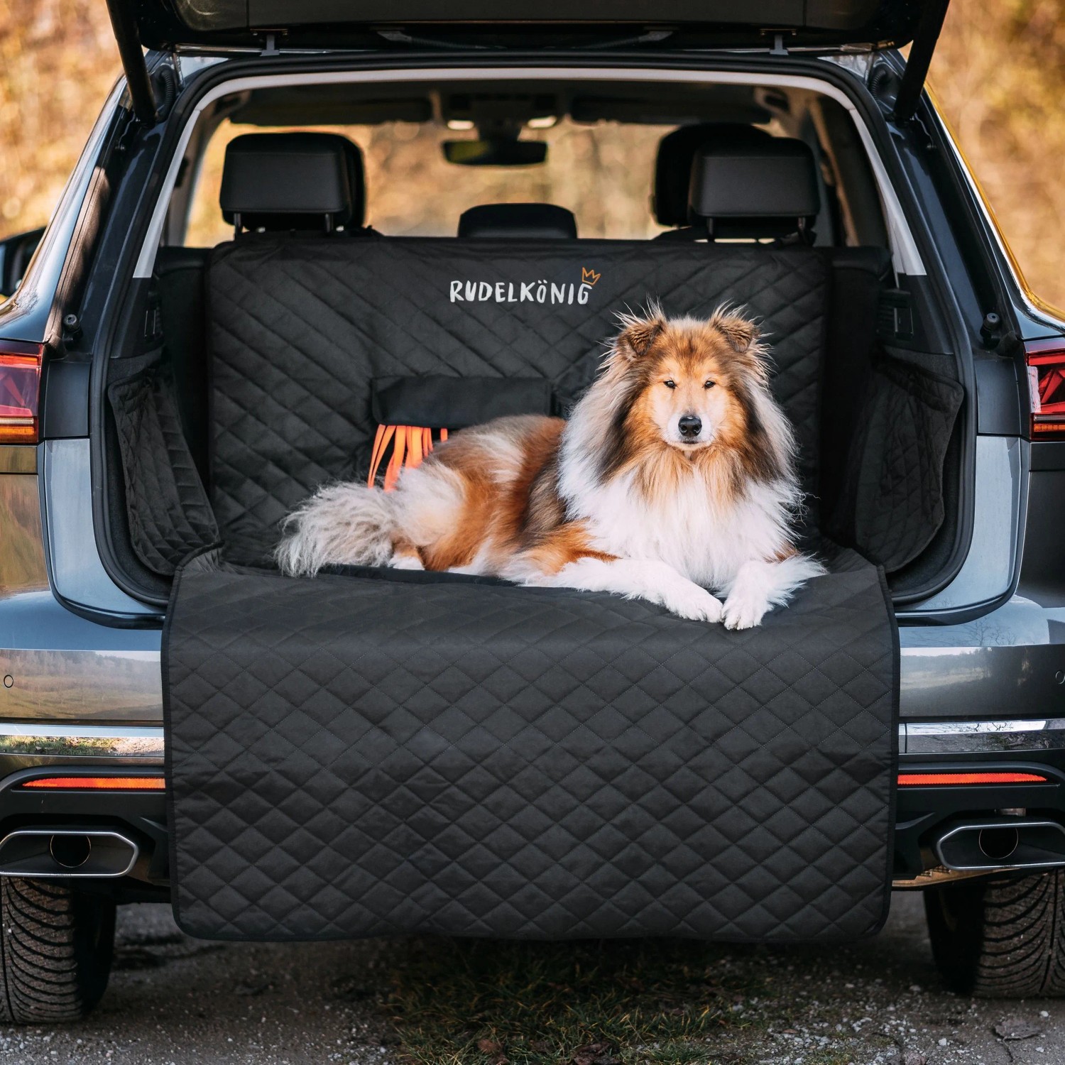 Rudelkönig Kofferraumschutz Hund Auto Schutzdecke Gesteppt Wasserdicht in Schwarz