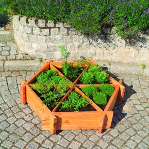 Großes Kräuterrad-Beet aus imprägnierter Kiefer von Promadino, bepflanzt mit Kräutern.