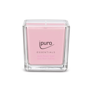 ipuro ESSENTIALS Duftkerze Flower Bowl im Glas, rosa Kerzenwachs.