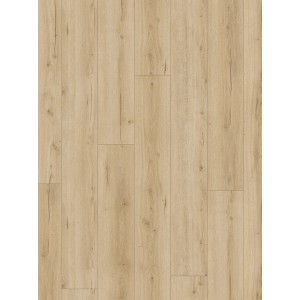 Parador Laminat Trendtime 6 Eiche Loft Pure, 8mm stark, wasserfest. Holzoptik für Wohn- und Gewerberäume.