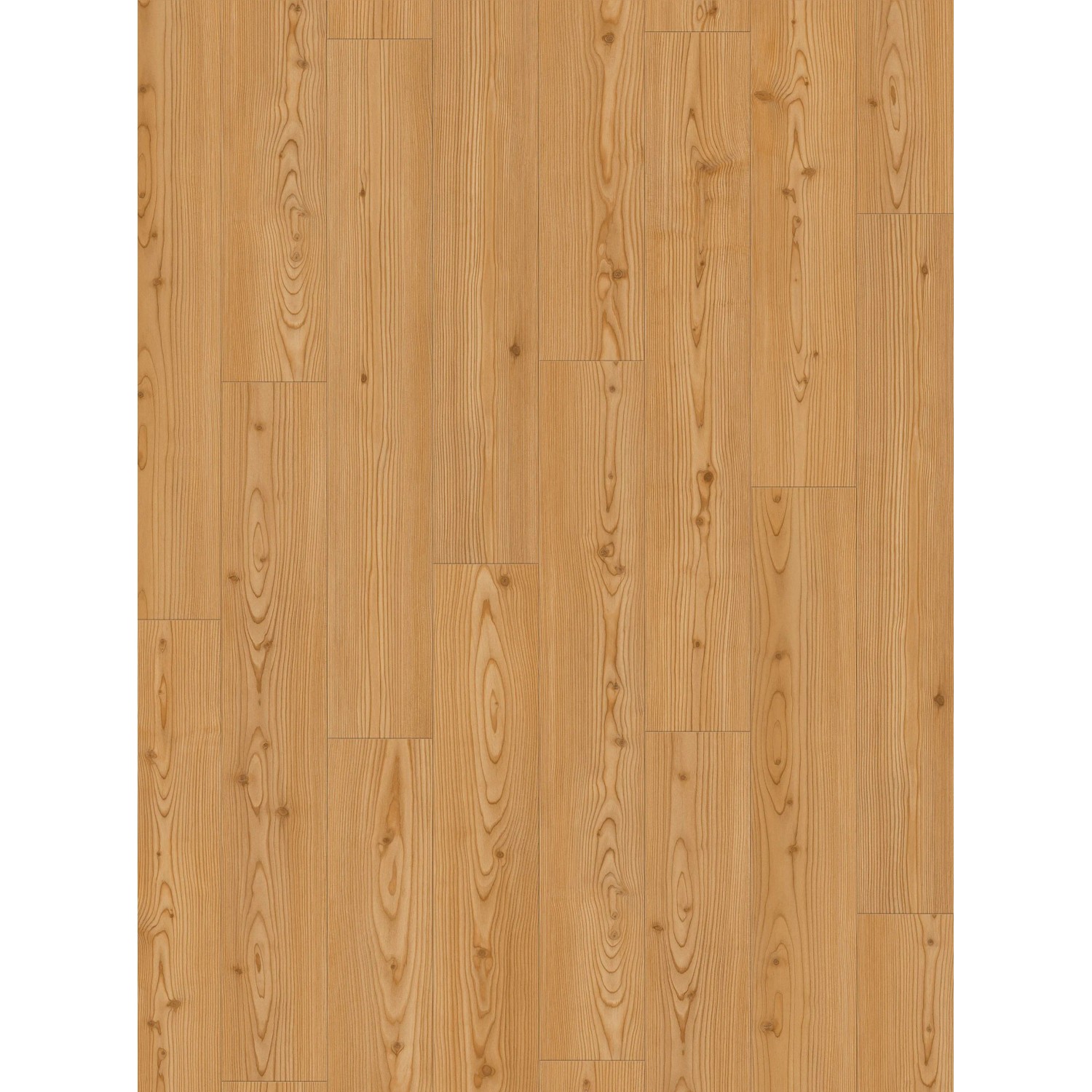 Parador Laminatbodenmuster Classic 1050 Lärche Yukon Honig