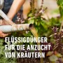 Gießkanne mit Compo Bio Kräuterdünger beim Gießen von Kräutern.