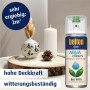Belton Free AQUAcolours Buntlack Spray Reinweiß, seidenglänzend. Für Innen- und Außenbereich.