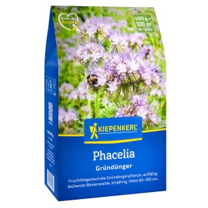 Kiepenkerl Gründünger Phacelia, 400g Packung mit blühender Phacelia und Biene.