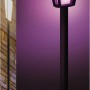 Philips Hue Econic LED-Wegeleuchte, smarte Außenleuchte mit Farbwechsel, im Karton.