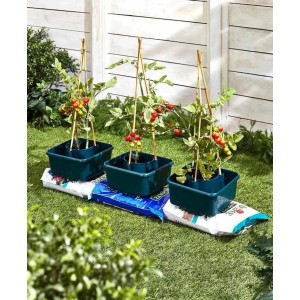 Westfalia Pflanzgefäße mit Wasserspeicher und Tomatenpflanzen im Garten.