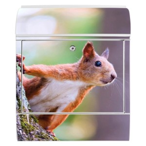 Weißer Banjado Design Briefkasten mit Eichhörnchen Motiv und Zeitungsfach.