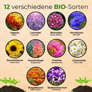 Seedhero Bio Blumensamen Set: Collage aus 12 bunten Blüten wie Tagetes, Lavendel, Sonnenblume, Kornblume, Stiefmütterchen.