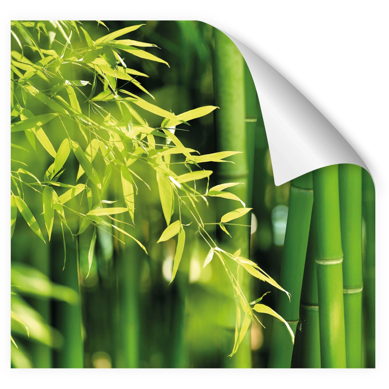 Küchenrückwandfolie Bambus: Selbstklebende Folie mit Bambusmotiv für die Küche.